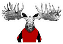 Hand Drawn Moose With Ugly Red Christmas Sweater Sticker