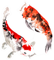 Hand-drawn Watercolor Fairy Japanese Koi Sticker