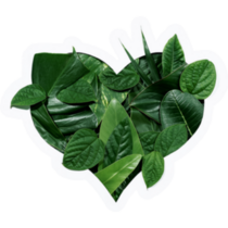 Heart Shape Cutout With Green Leaves Sticker