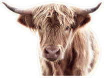 Highland Cow Brown Sticker