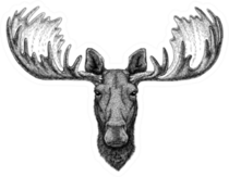 Hipster Moose Sketch Sticker