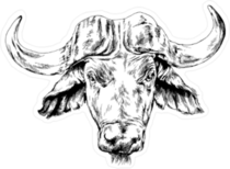 Huge Buffalo With Horns Sketch Sticker