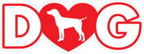 I Love My German Shorthaired Pointer With Heart For Letter O St