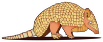 Illustration Of Armadillo Isolated On White Sticker