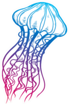 Jellyfish Doodle Illustration In Color Sticker