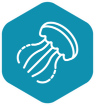 Jellyfish Icon Turquoise Sticker