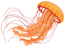 Jellyfish Orange Cartoon Sticker