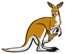 Kangaroo Female With Joey  In Pouch Sticker