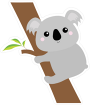 Koala on Eucalyptus Tree Sticker