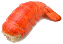 Lobster Tail Isolated On White Sticker