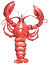 Lobster, Watercolor Illustration Sticker