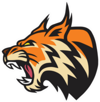 Lynx Bobcat Logo Mascot Sticker