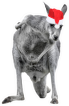 Male Kangaroo In Christmas Hat Sticker