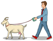 Man Walks With Goat On Leash Pop Art Sticker