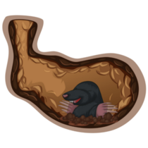 Mole Living Underground Sticker