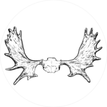 Moose Antlers Sticker