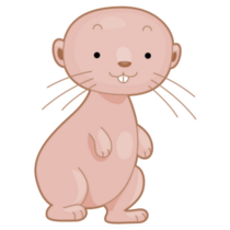 Naked Mole Rat Sticker