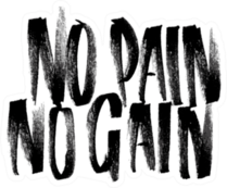 No Pain No Gain Sticker