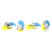 Nose, Eye, Lips, Ear Blue & Yellow Illustration Sticker