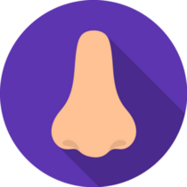 Nose Icon In Flat Purple Sticker