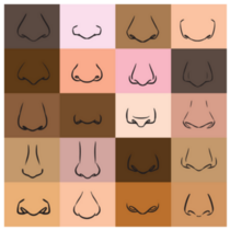 Noses Collection, Human Noses Sticker