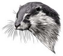 Otter Sketch Head Sticker