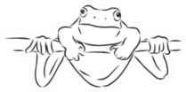 Outline Drawing Of A Frog Sketch Illustration Sticker