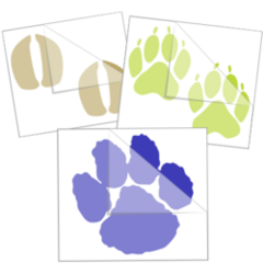 Paw Print Stickers