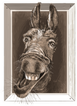 Portrait-cartoon Of Crazy Donkey In A Wooden Frame Sticker