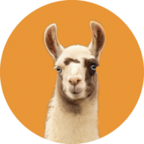 Portrait Of A Llama Isolated On Orange Sticker