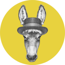 Portrait Of Donkey With Hat On Yellow Sticker