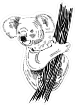 Realistic Koala Illustration Sticker