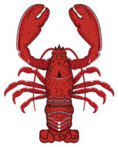 Red Lobster Illustration Sticker