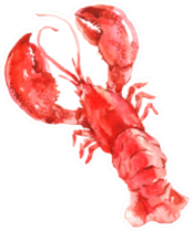 Red Lobster Watercolor Illustration Sticker