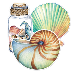 Seashell Thumbnail