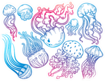 Set Jellyfish Cartoon Lines Art Colorful Sticker