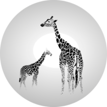 Silhouette Of  Giraffe With Her Baby Sticker