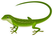 Smooth Lizard Sticker