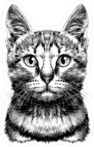 Striped Cat Head Sketch Sticker