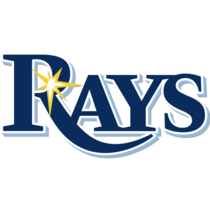 Tampa Bay Rays MLB Logo Sticker