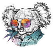 Trendy Portrait Of Koala Bear In Glasses Sticker