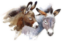 Two Watercolor Farm Animals Donkeys Sticker