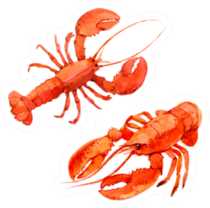 Two Watercolor Lobsters Sticker