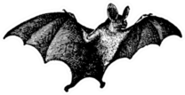 Vampire Bat Vintage Illustration Sticker