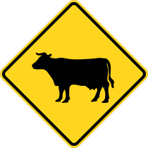 Warning Cows Sticker