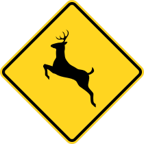 Watch Out For Deer Sticker