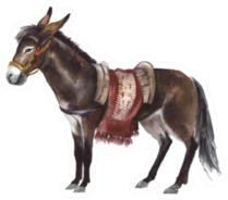 Watercolor Cute Donkey On The White Sticker