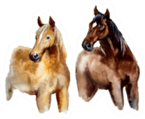 Watercolor Cute Horse On The White Background Sticker