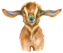 Watercolor Goat Head Cute Sticker