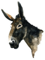 Watercolor Illustration Of A Donkey's Head Sticker